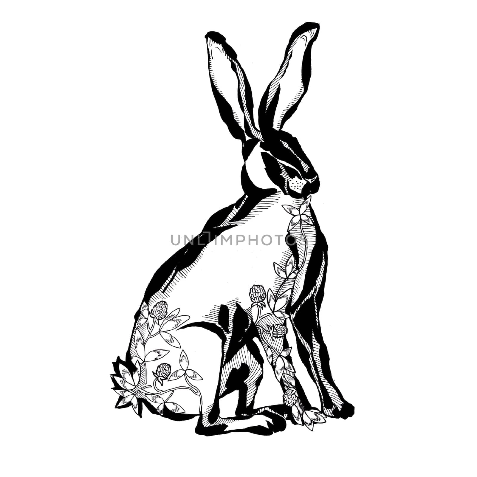 Hand drawn hare with flowers in the body. Retro realistic animal isolated. Vintage style. Doodle line graphic design. by fireFLYart