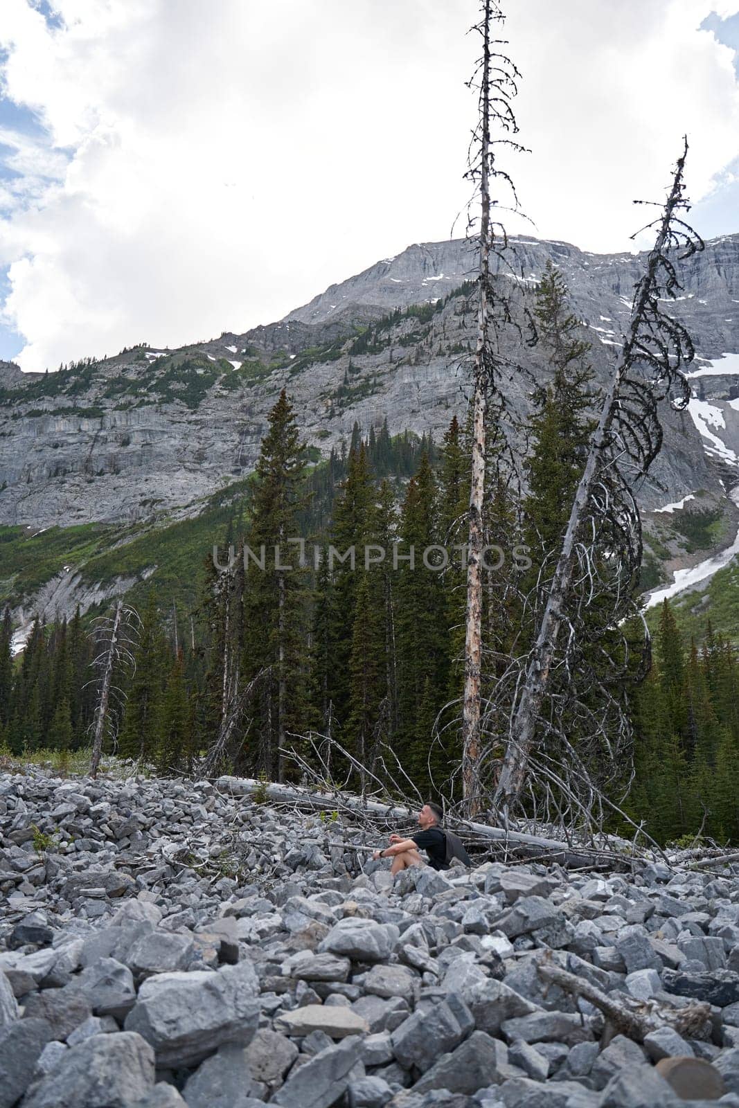 A man sits near the forest on an old dry log around stones after a landslide with a view of rocky mountains. by Try_my_best