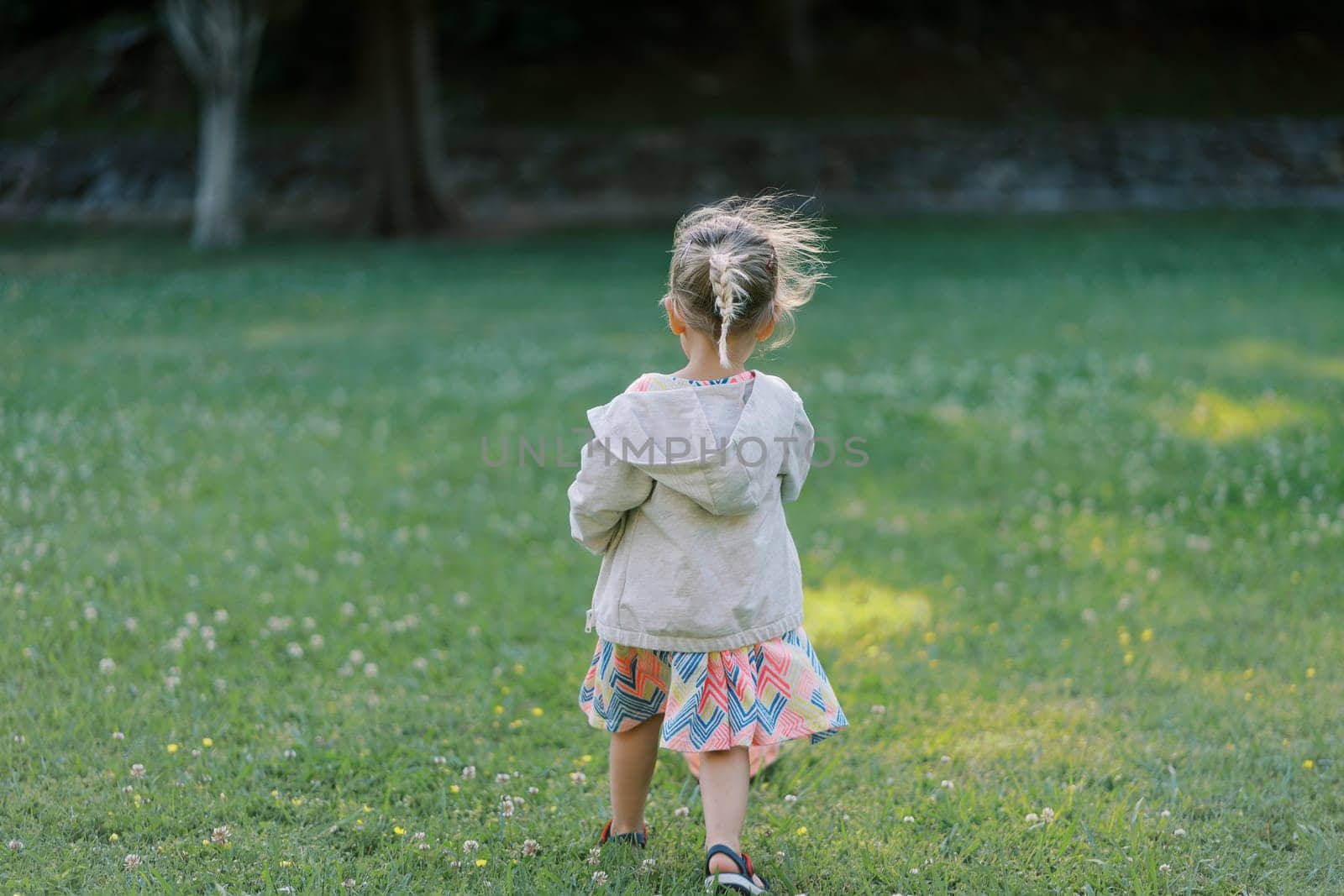 Little girl with her hair fluttering in the wind is walking along a green lawn. Back view. High quality photo