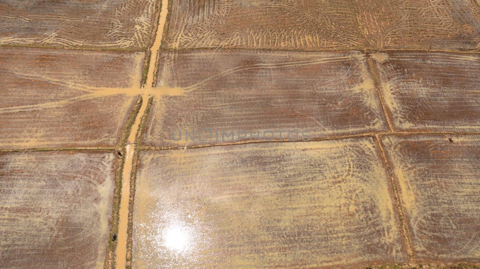 Top view of Flooded rice fields and agricultural land view from above. Sri Lanka.