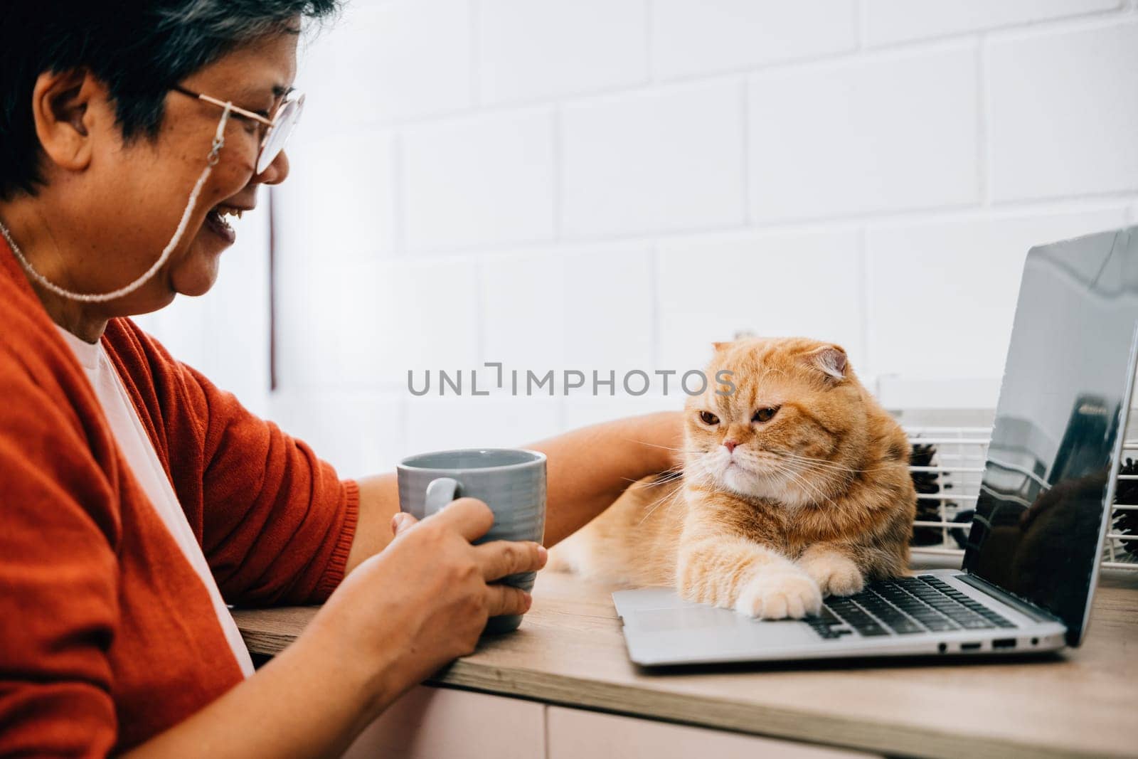 Senior woman, in her retirement, engages in online activities on her laptop, typing on the keyboard with a smile. Her cute Scottish Fold cat sits beside her, portrait of togetherness and contentment.