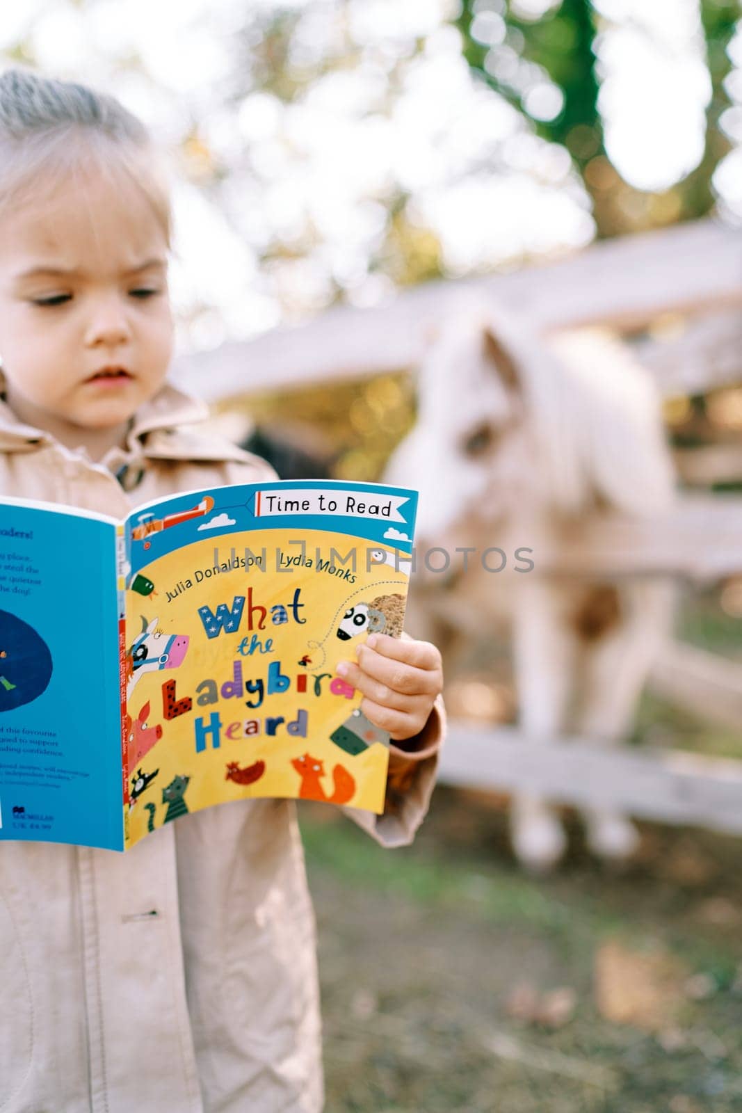 Little girl enthusiastically reads a picture book while standing in the ranch by Nadtochiy