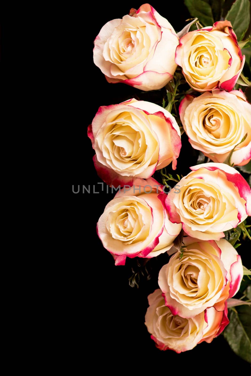 Large bouquet of pink roses on a black background