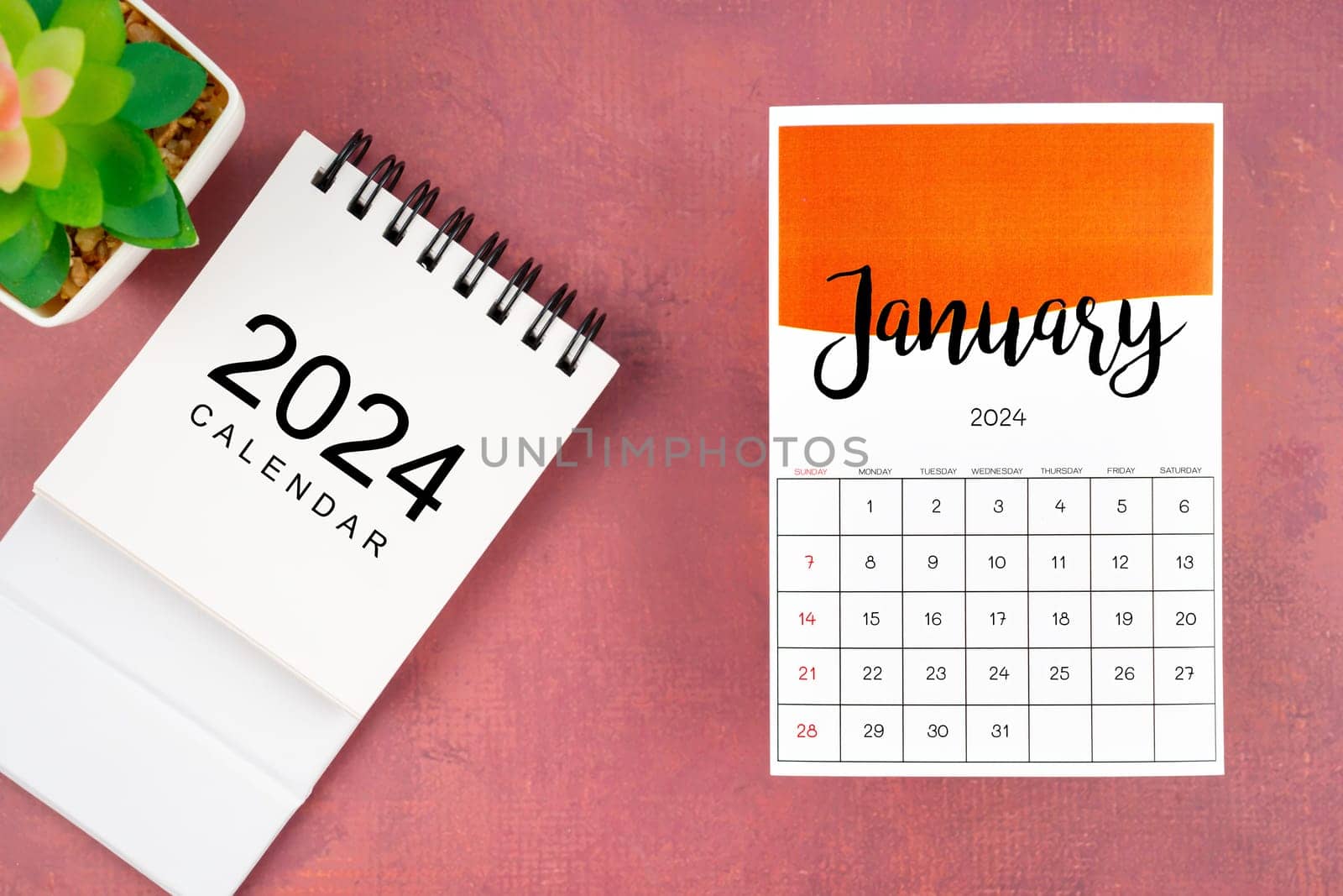 January 2024 calendar page with plant pot on red background.