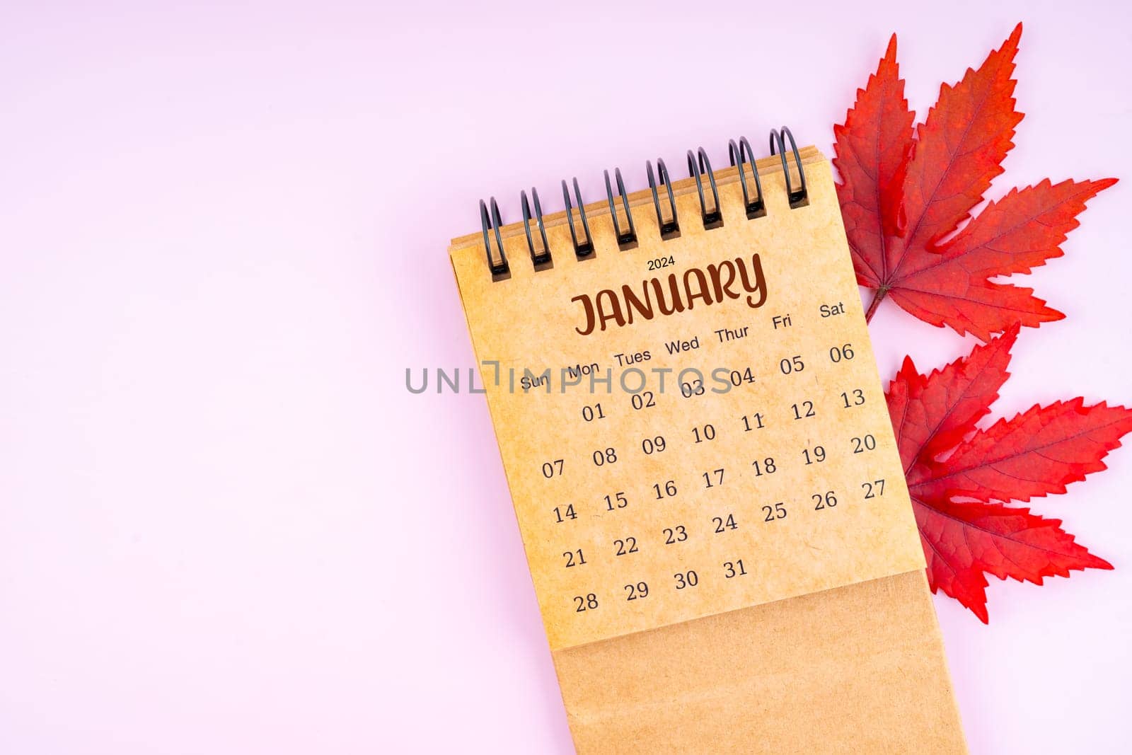 January 2024 monthly calendar and fall leaves on pink color background. Position with copy space.