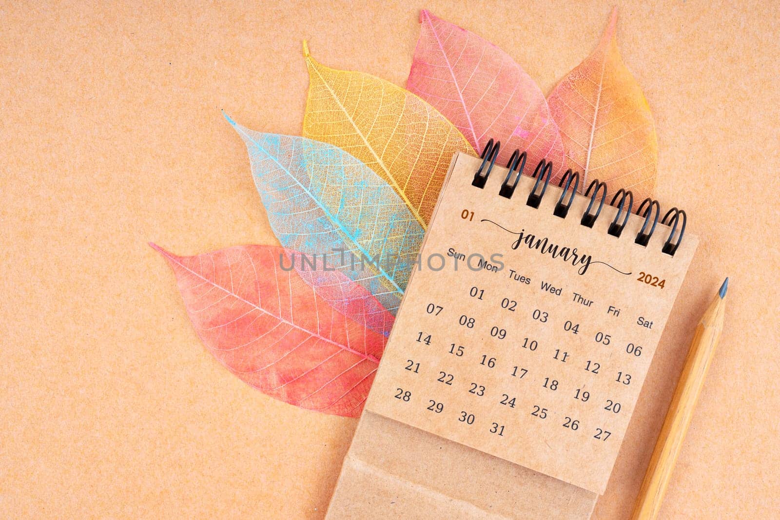 January 2024 monthly desk calendar and fiber structure of dry leaves texture, skeleton leaf. by Gamjai