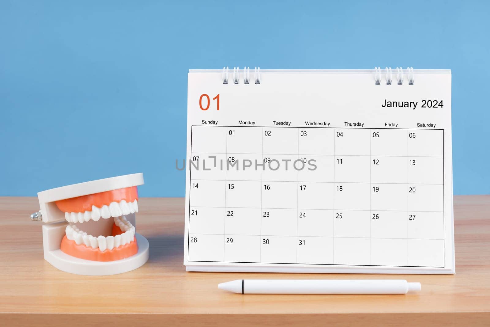 January monthly desk calendar for 2024 year and model dentures on the table. Dental health concepts.