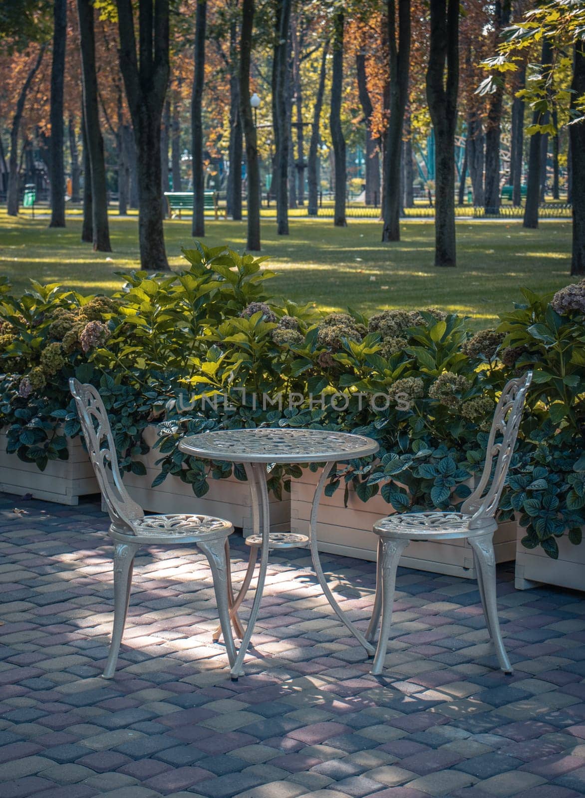 Cafe tables and benches without visitors concept photo. Quiet autumn atmosphere. Autumnal park, fall season, natural background. Idyllic scene. High quality picture for wallpaper, travel blog, magazine, article