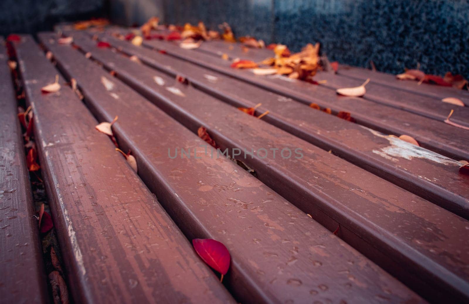 Park bench with bright leaves in autumn concept photo. Autumnal leaves by _Nataly_Nati_