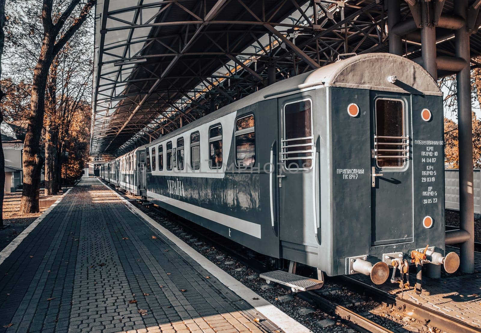 Train on the train station at sunrise concept photo. Passenger train in parkland. by _Nataly_Nati_