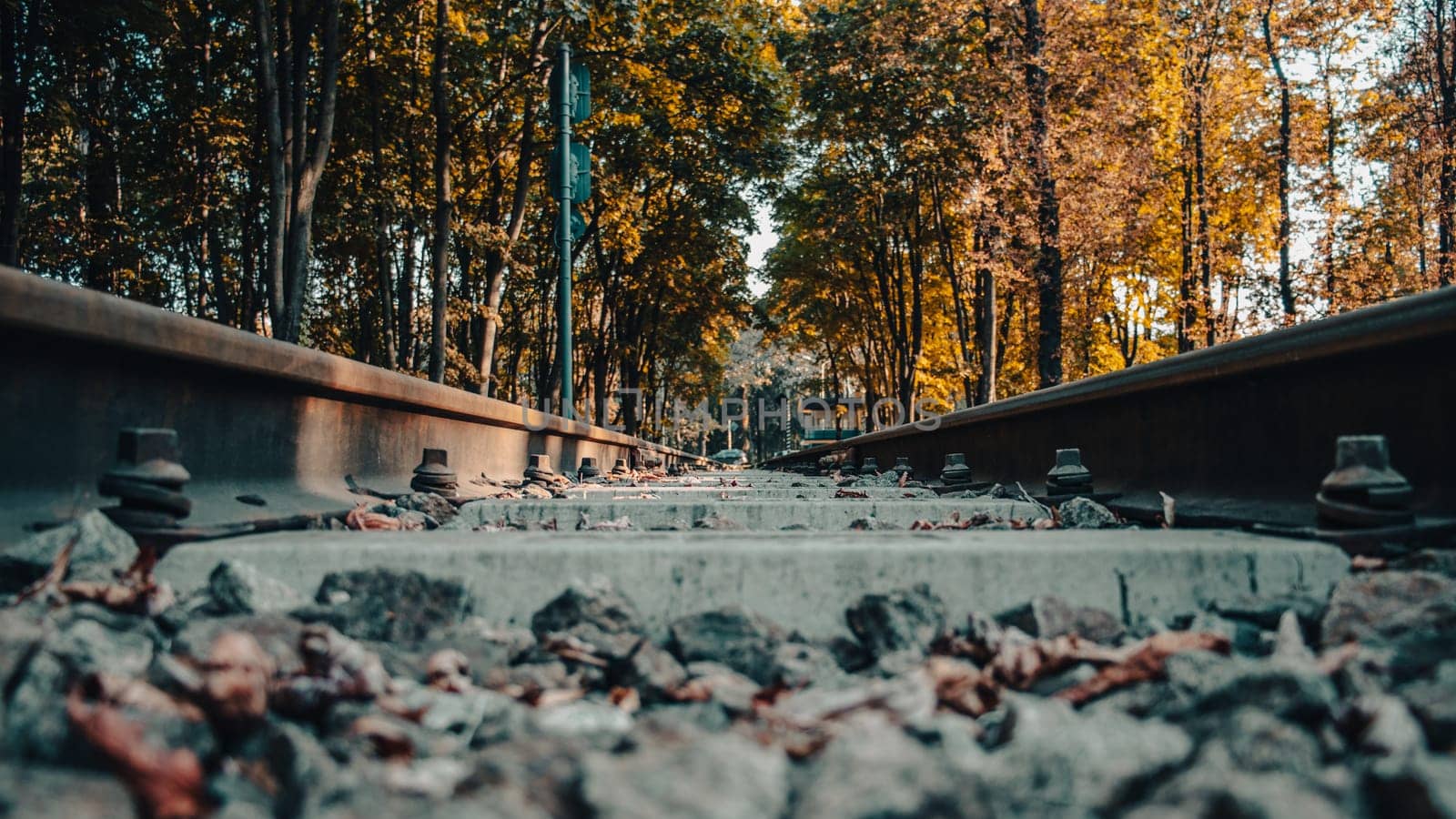 Railway road through a forested area concept photo. Railroad in Europe. by _Nataly_Nati_