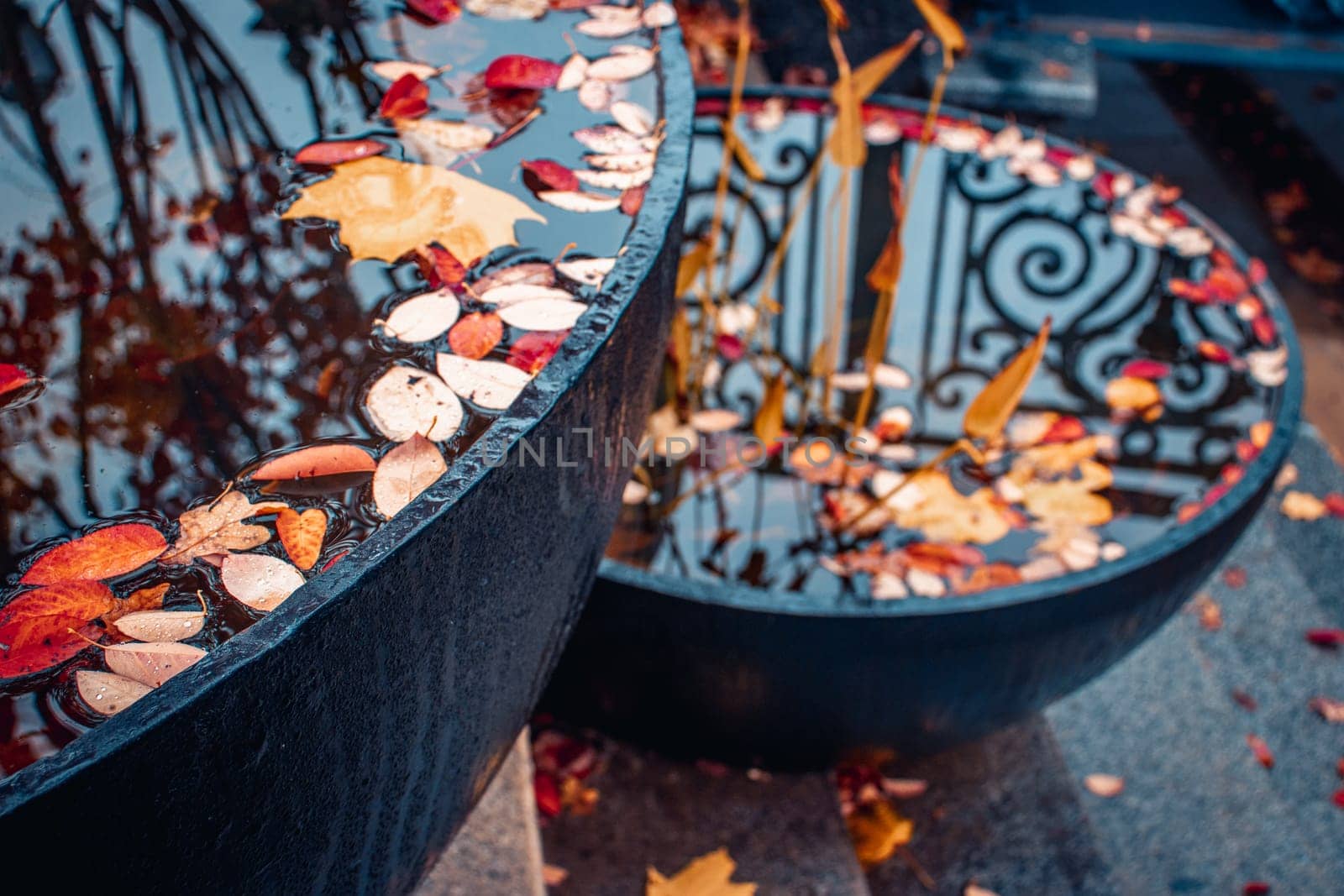 Close up view of a garden pond with autumn leaves concept photo. Beautiful nature scenery photography. Fall season, red leaf in a pots. Idyllic scene. High quality picture for wallpaper, travel blog.