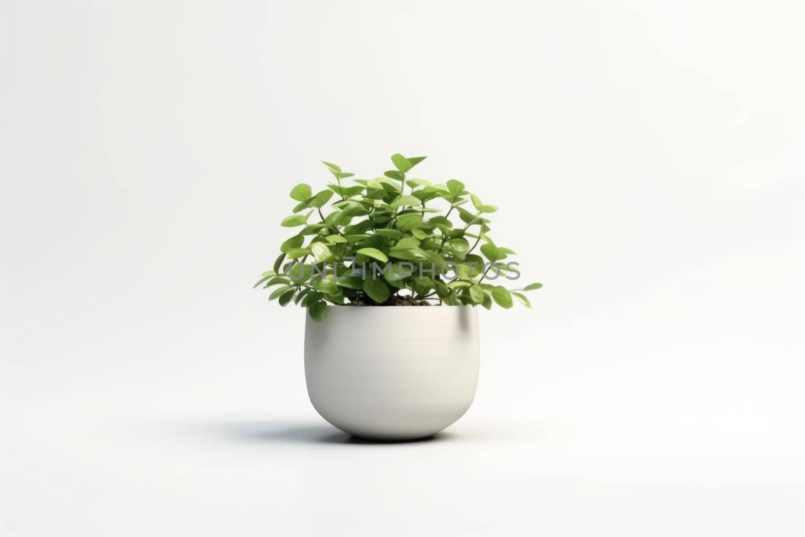 Potted plant on isolated white background. AI Generated by Desperada