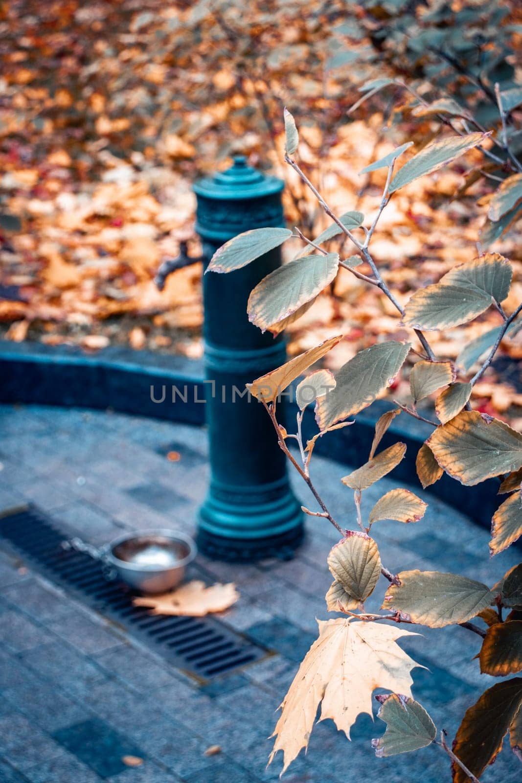 Water fountain in the autumn park concept photo. Water pouring source for animals. by _Nataly_Nati_