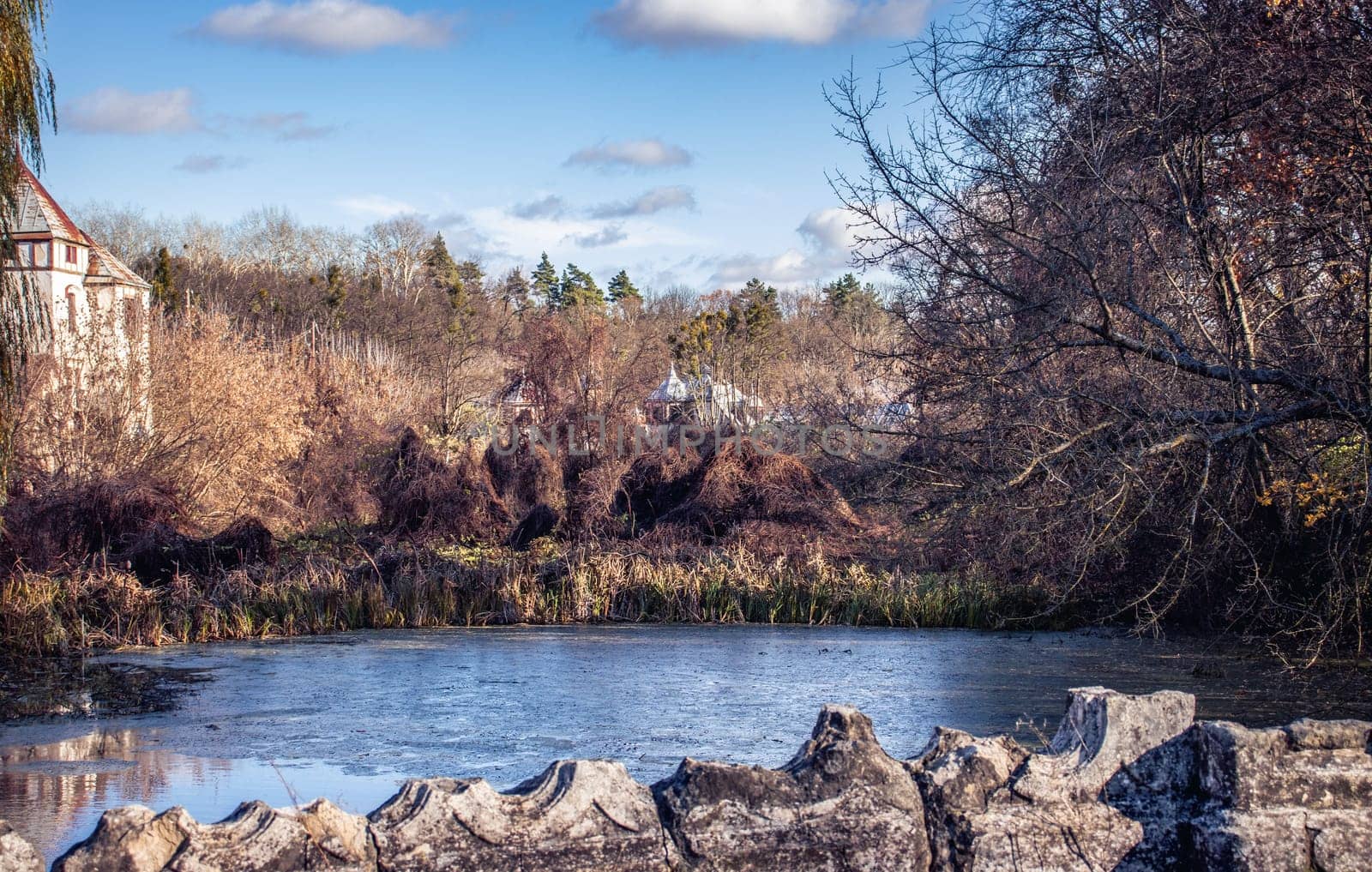 Ancient stone bridge near castle lake concept photo. Ruined old palace near pond, Ukraine. by _Nataly_Nati_