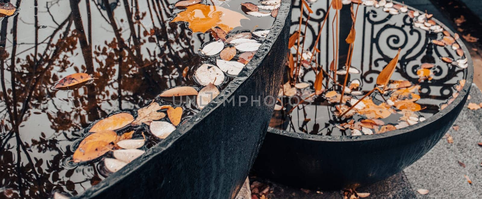 Close up view of a garden pond with autumn leaves concept photo. Beautiful nature scenery photography. by _Nataly_Nati_