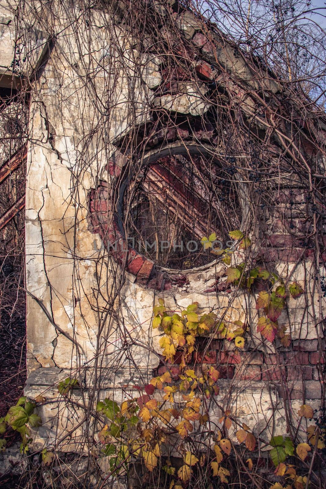 Ruined greenhouse with ivy plant concept photo. Castle tower. Architectural detail of damage building. Old door, window. Ukrainian moldings