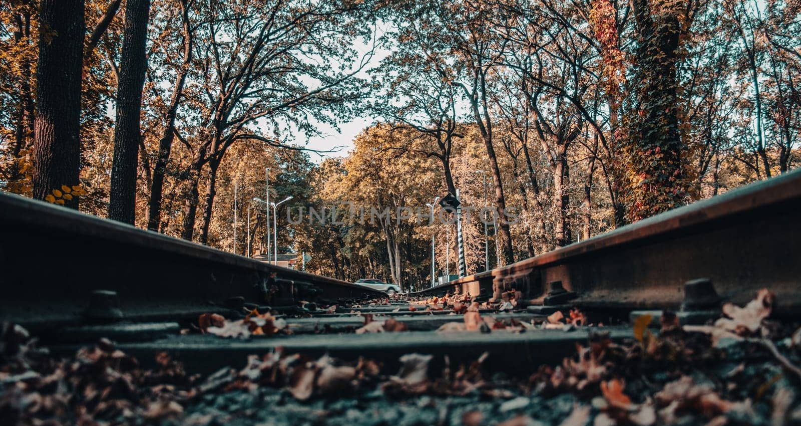 Railway road through a forested area concept photo. Majestic scenery of railway road in forest. Railroad in Europe. Commercial transportation. High quality picture for wallpaper, travel blog.