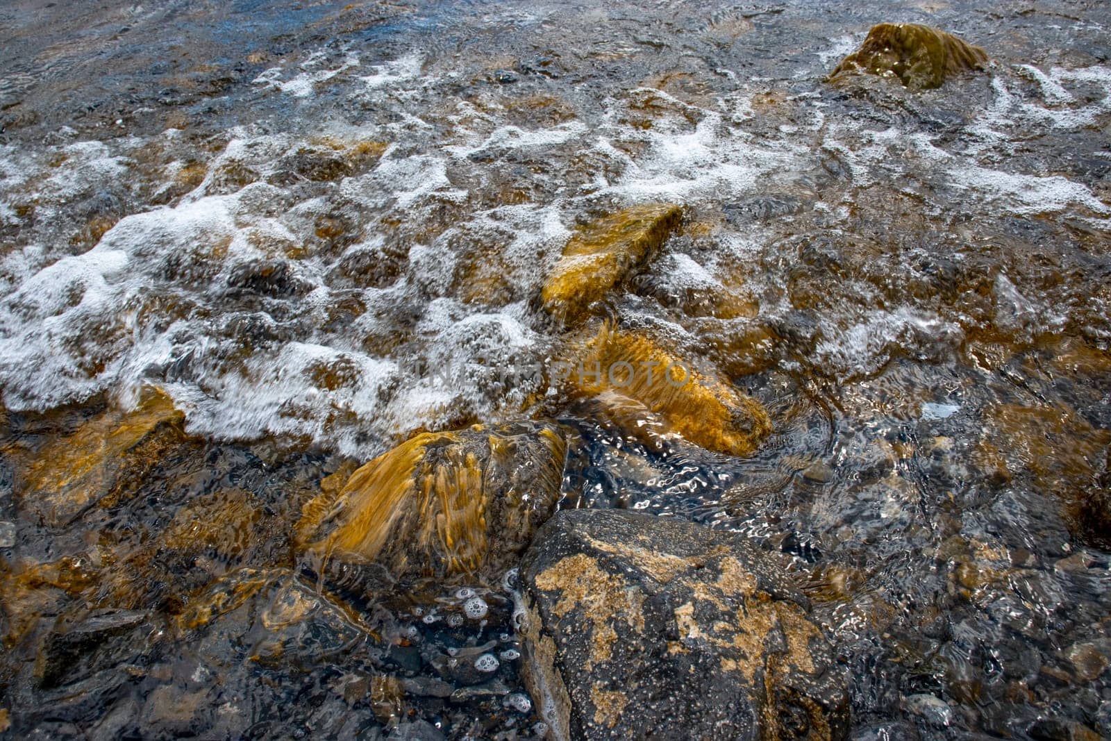 Close up water with algae on the beach concept photo. Pebbles under water. The view from the top, nautical background. High quality picture for wallpaper