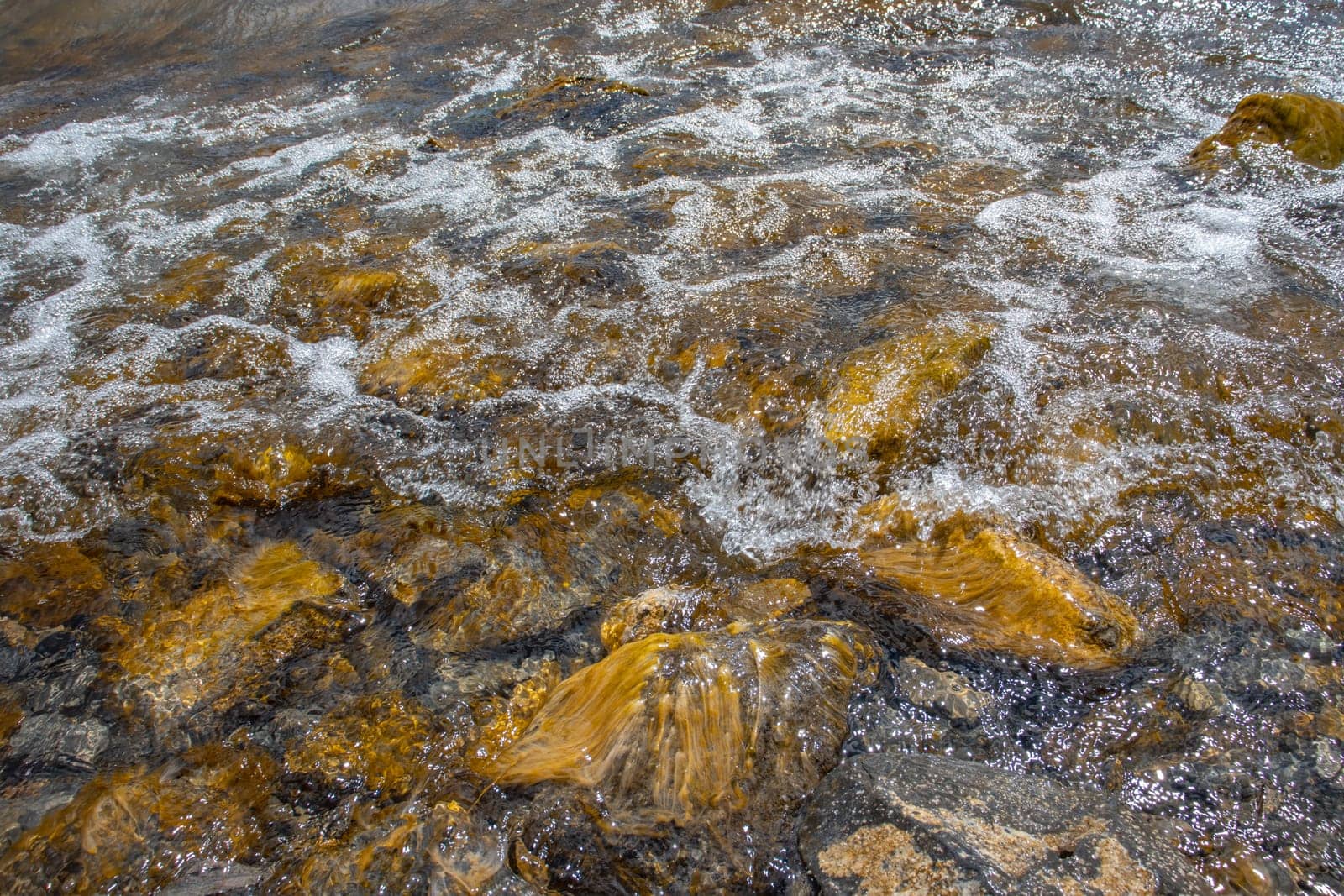 Close up water with algae on the beach concept photo. Pebbles under water. The view from the top, nautical background. High quality picture for wallpaper