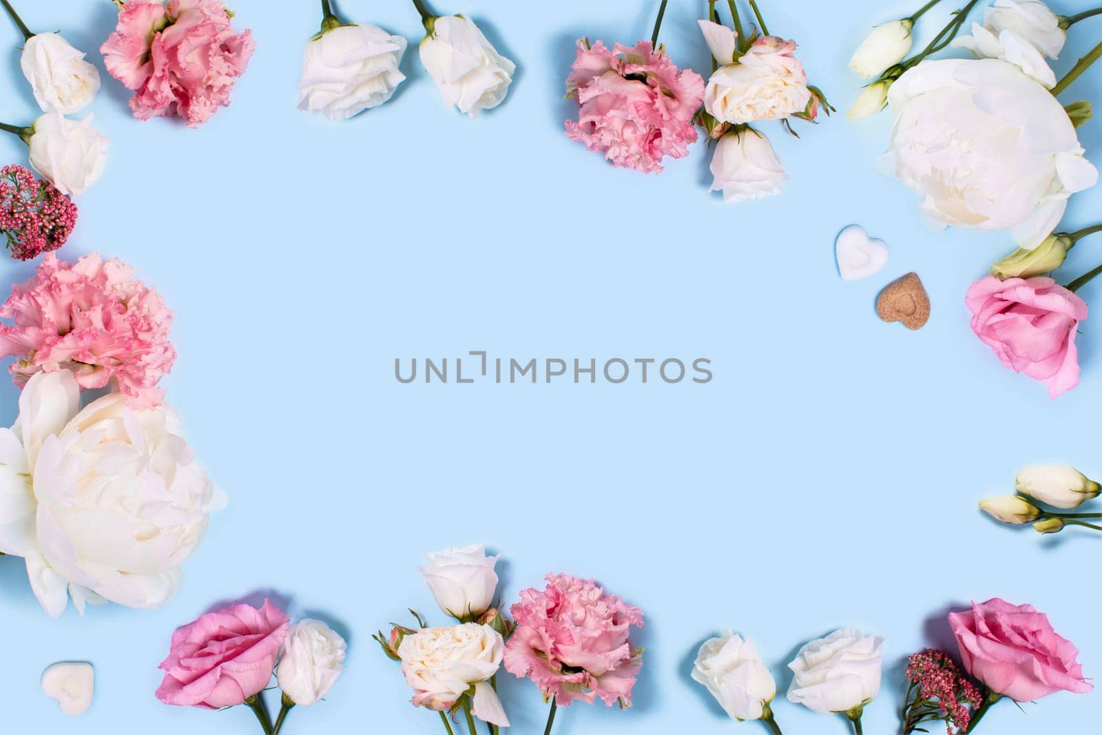 Blue background with peonies and roses. Top view with space for your text.