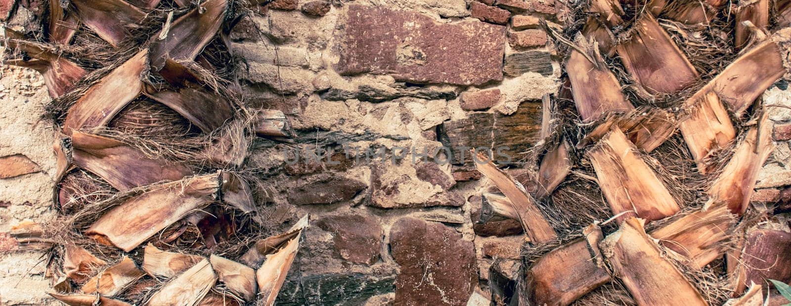 Close up old beige brick texture wall concept photo. Medieval architecture, backyard with palm trees. District of European town, Barcelona. High quality picture for wallpaper, travel blog.