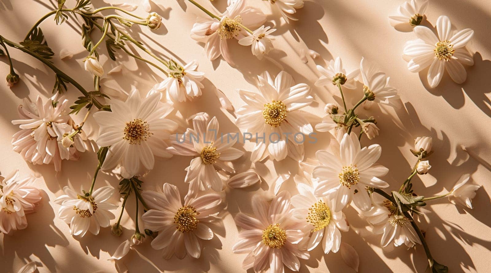 Flowers on a beige background. Spring floral flat lay background. High quality photo