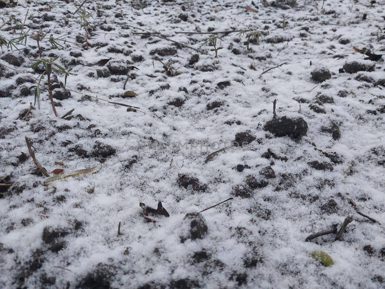 Texture of fallen snow on the objects