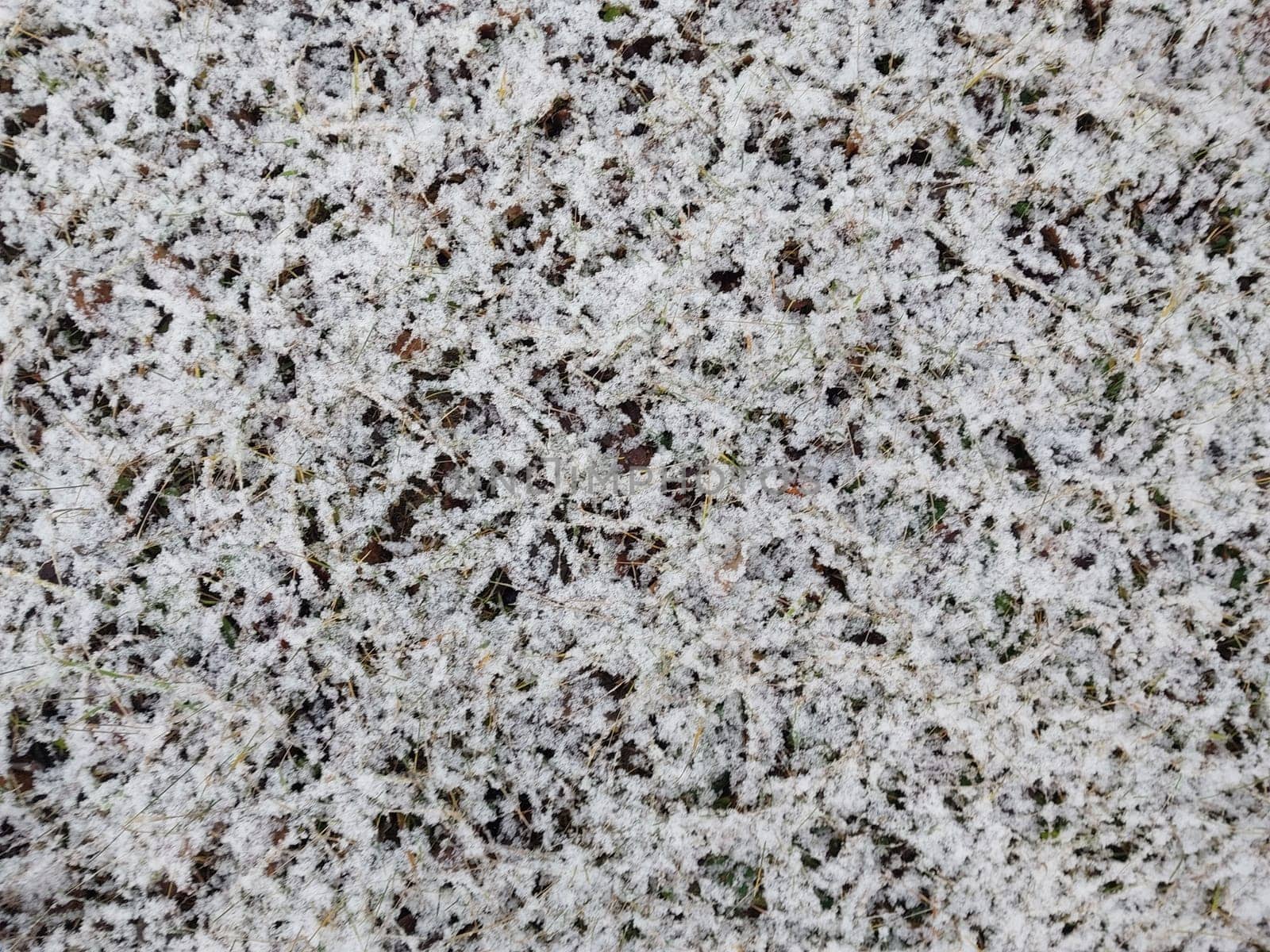 Texture of fallen snow on the objects