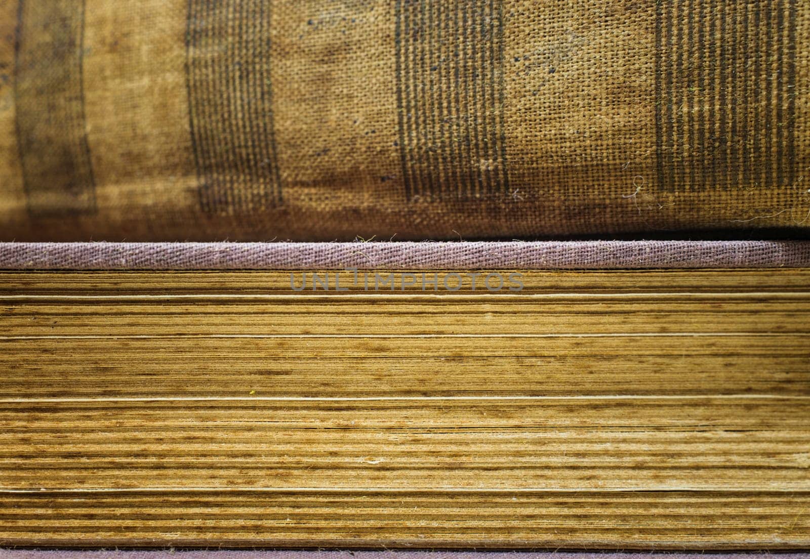 Macrophotographic view of the pages and spine of old books. by csbphoto