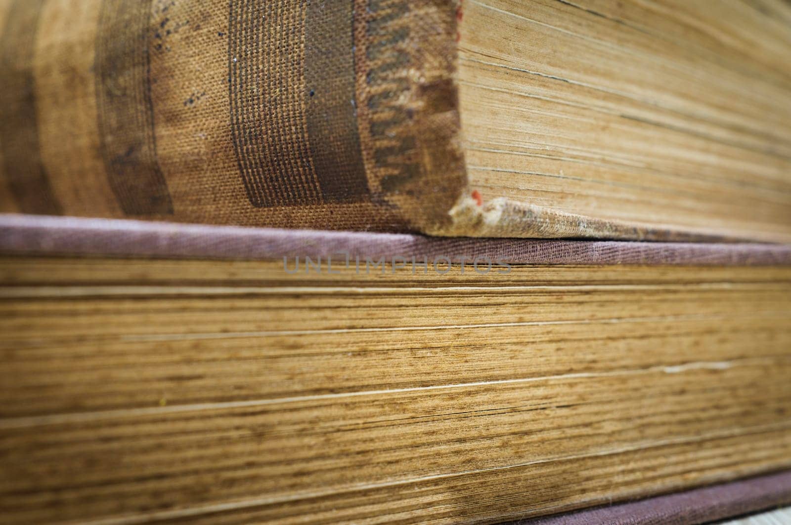 Macrophotographic view of the pages and spine of old books. by csbphoto