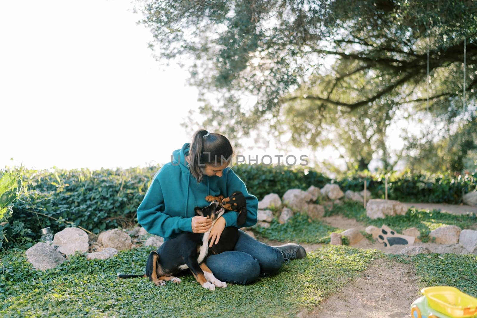 Young woman playing with big puppies on her lap while sitting on green grass. High quality photo
