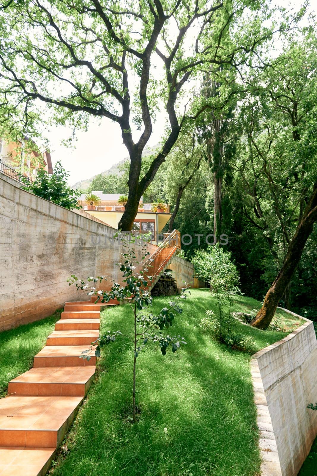 Tiled staircase in a green garden along a stone fence. High quality photo