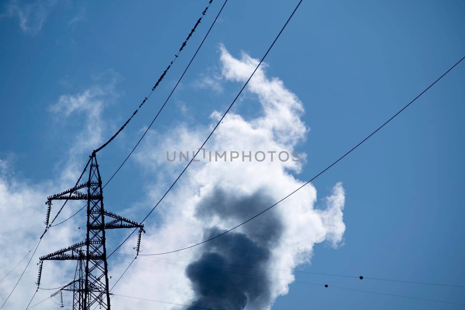Flock of birds on high voltage pylon in blue sky  by fotografiche.eu