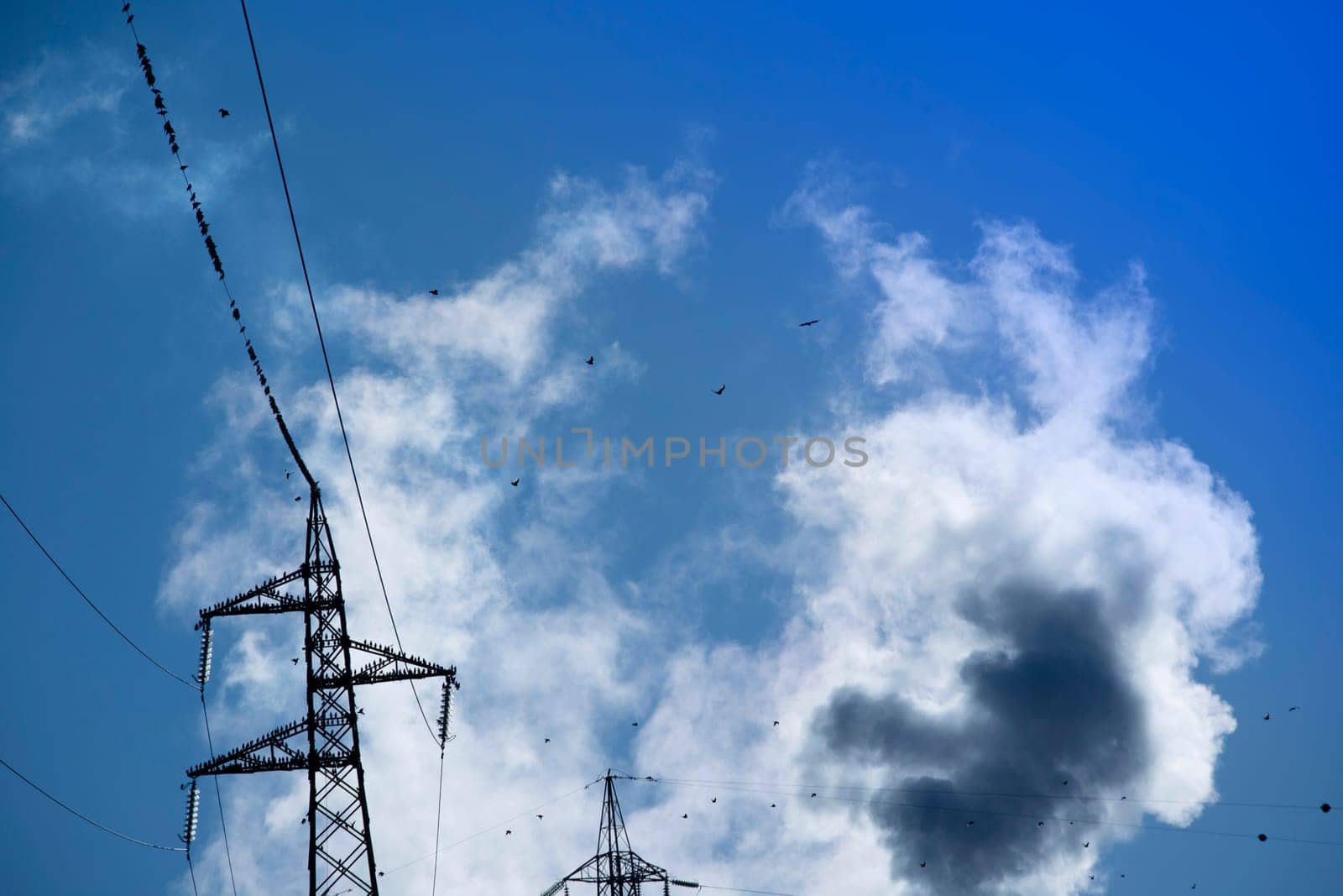 Photographic documentation of a flock of birds on an electrical pylon in blue sky 