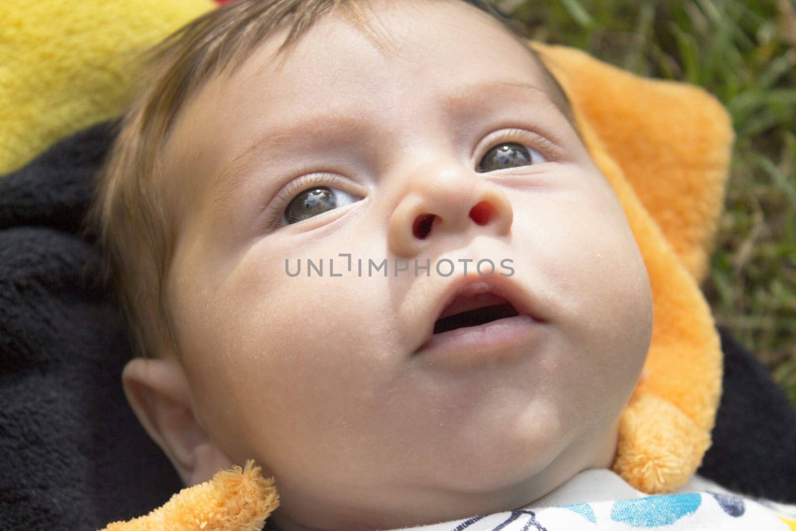 Two month old baby portrait. Happy expression