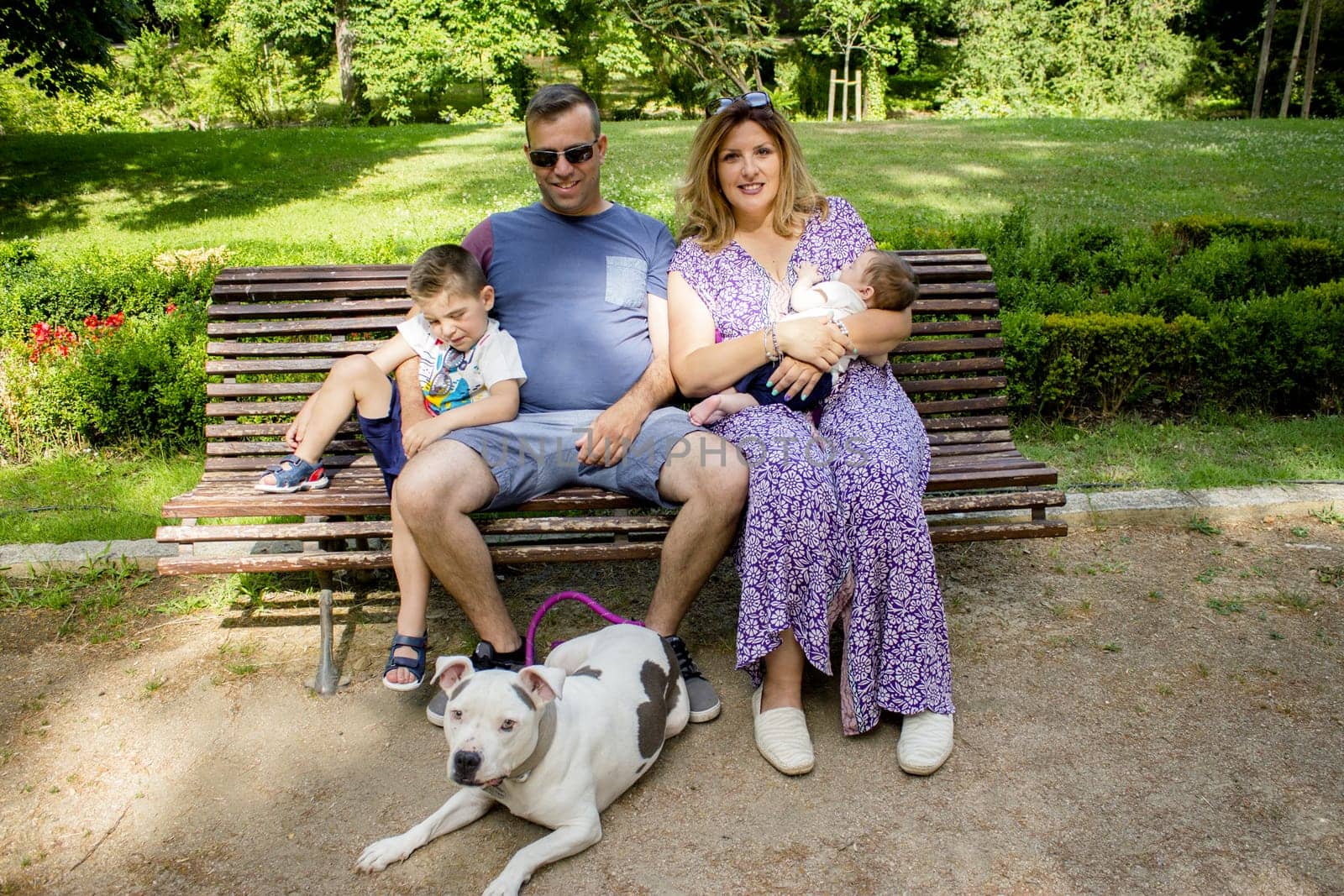 Family sitting on a bench with their stanford dog