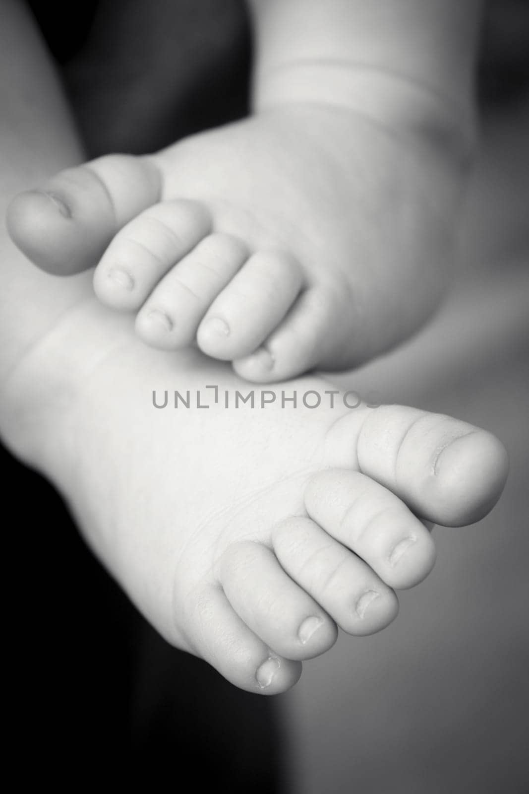 Two month old baby feet on black background by GemaIbarra