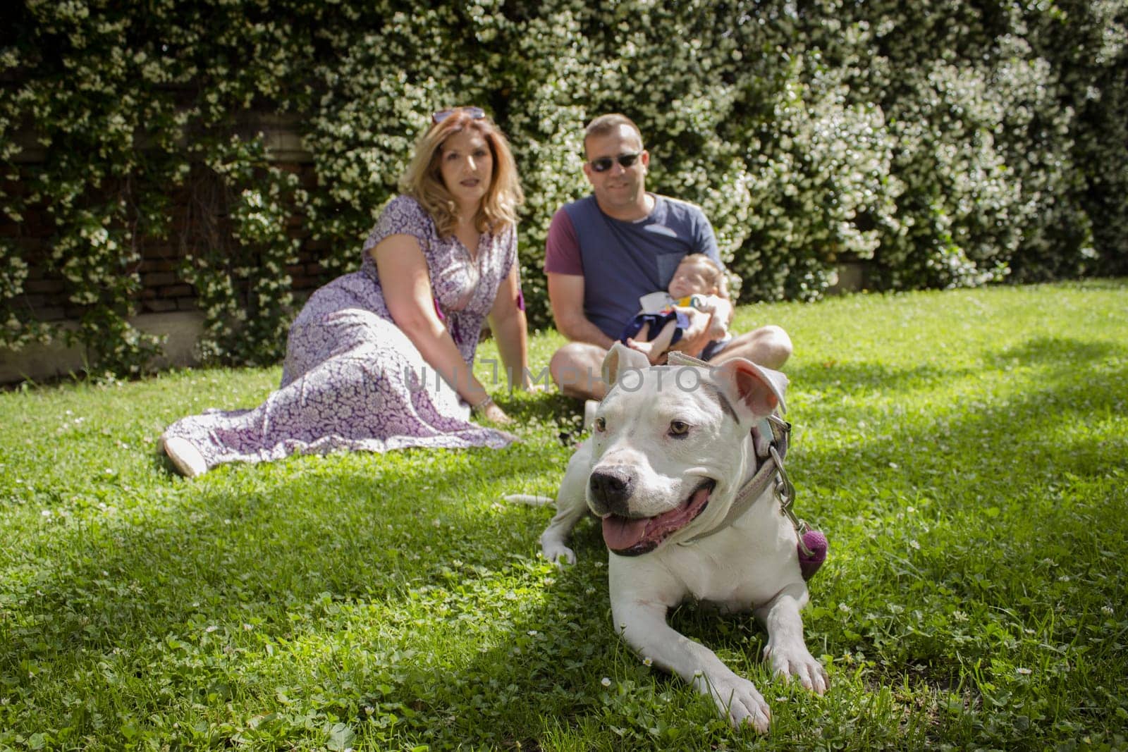 Family sitting on the grass. Summer day