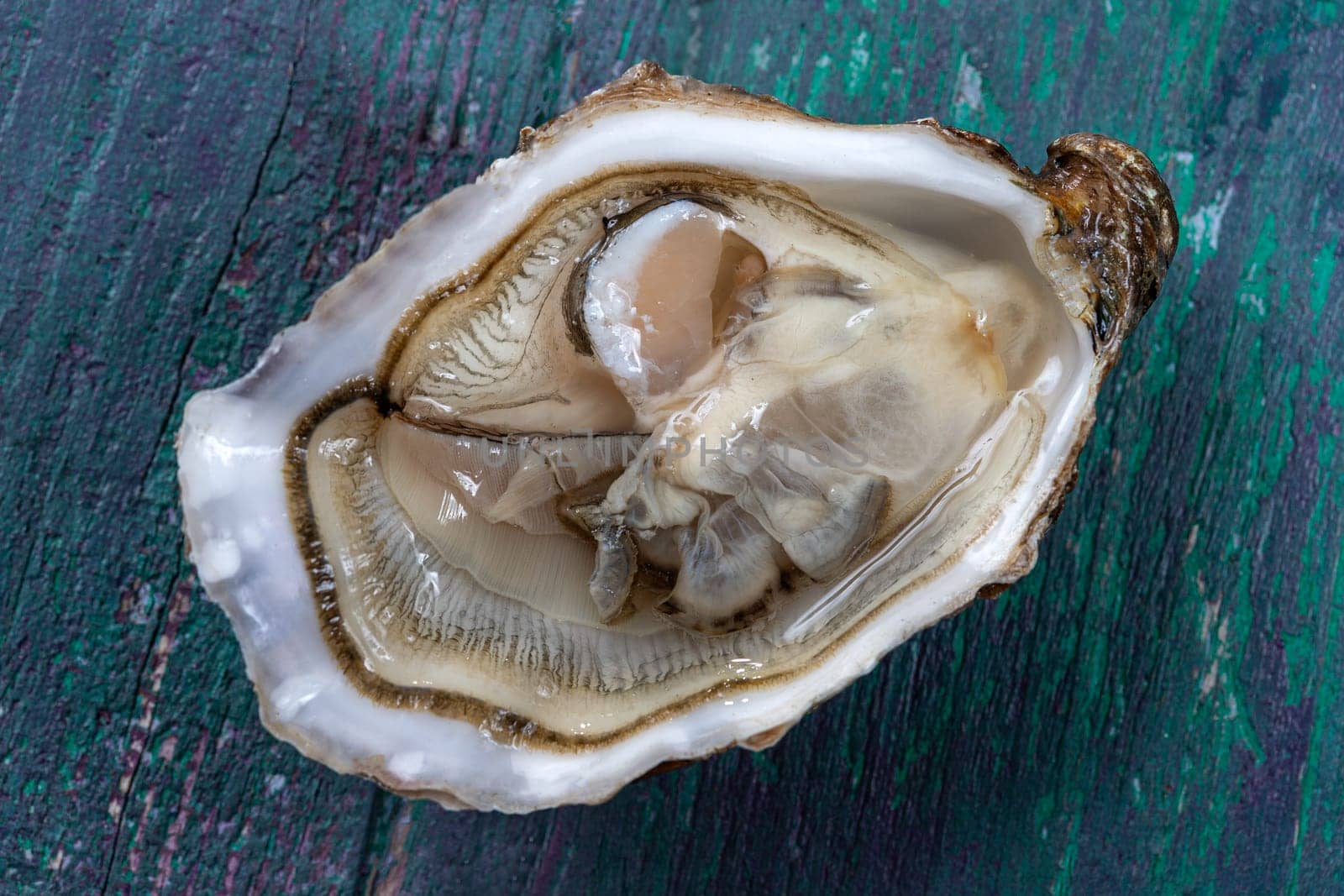 Close up of single oyester open , gourmet macro food photography