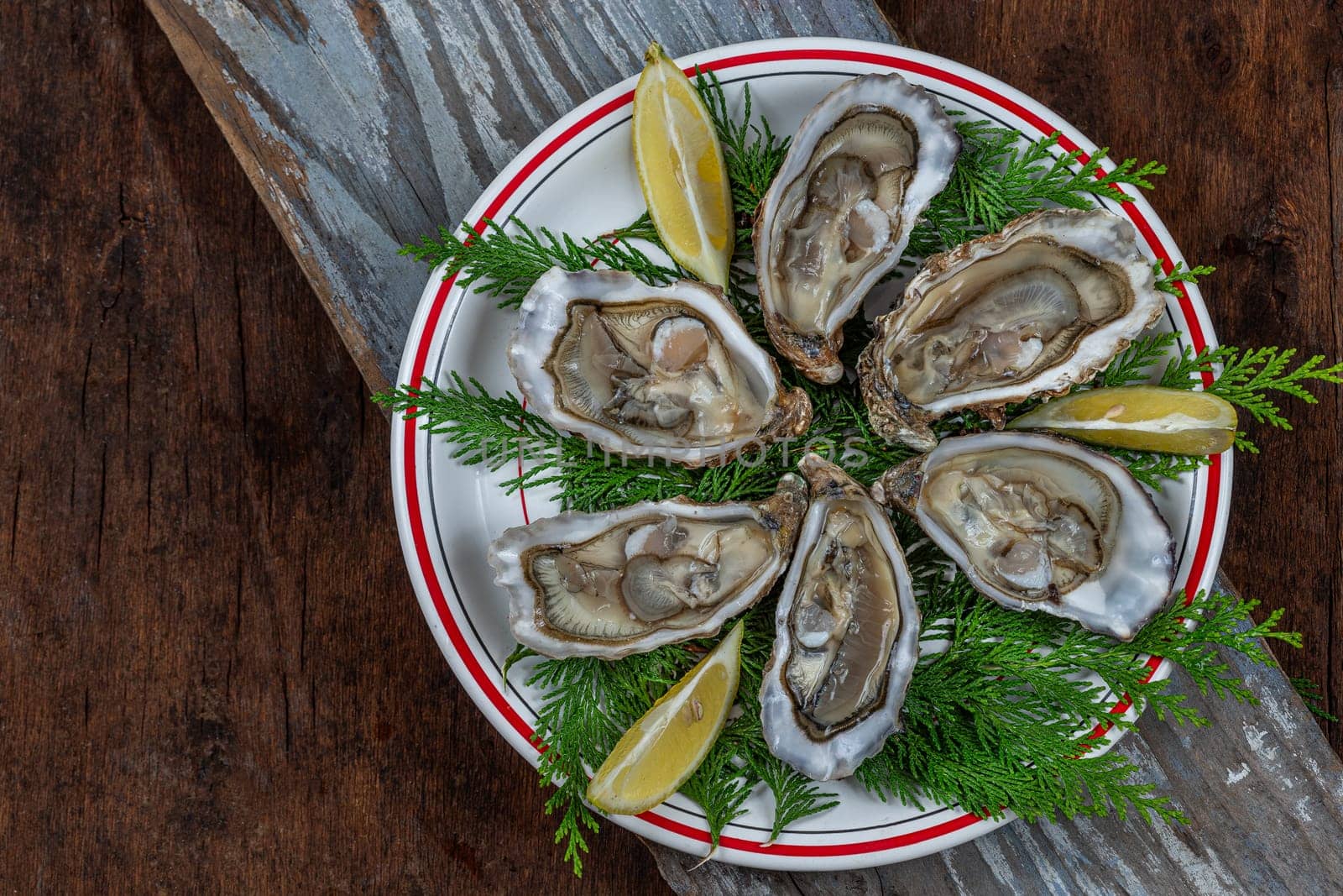 oysters fresh plate healthy meal fon the table copy space food background rustic top view