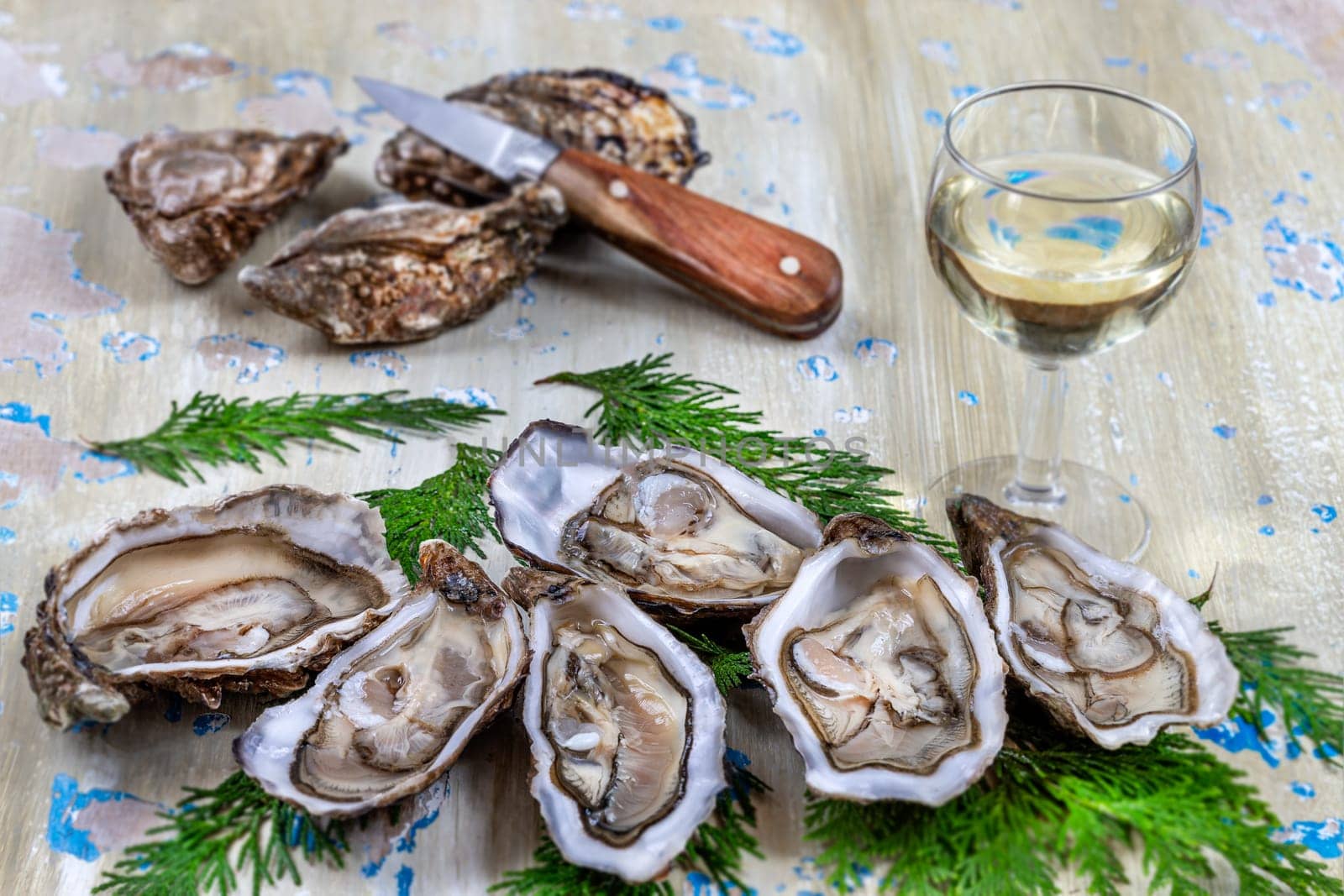 Oysters and glass of white wine in a restaurant wooden tavle by JPC-PROD