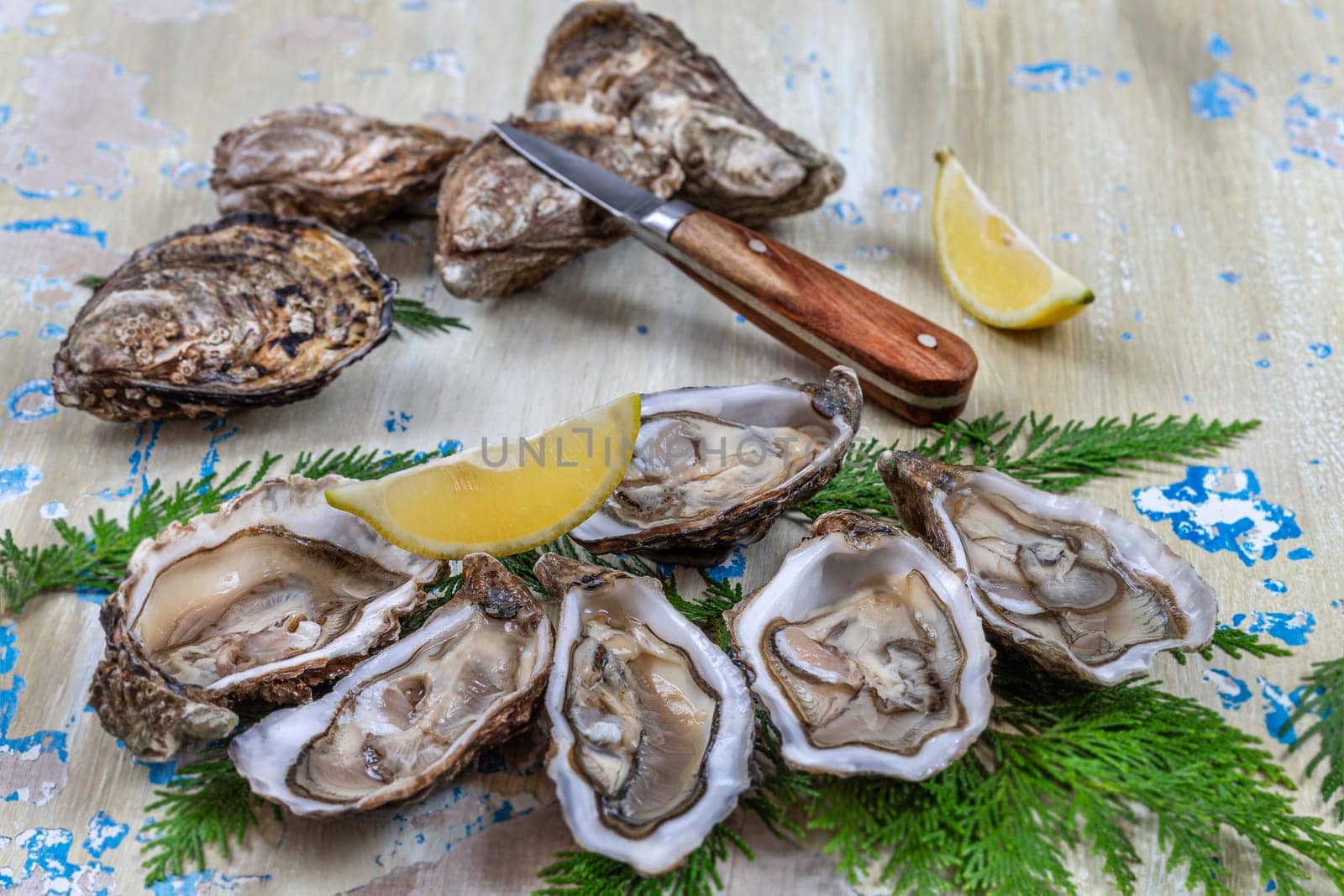 Opened Oysters on blue wooden background with oyster knife and lemon
