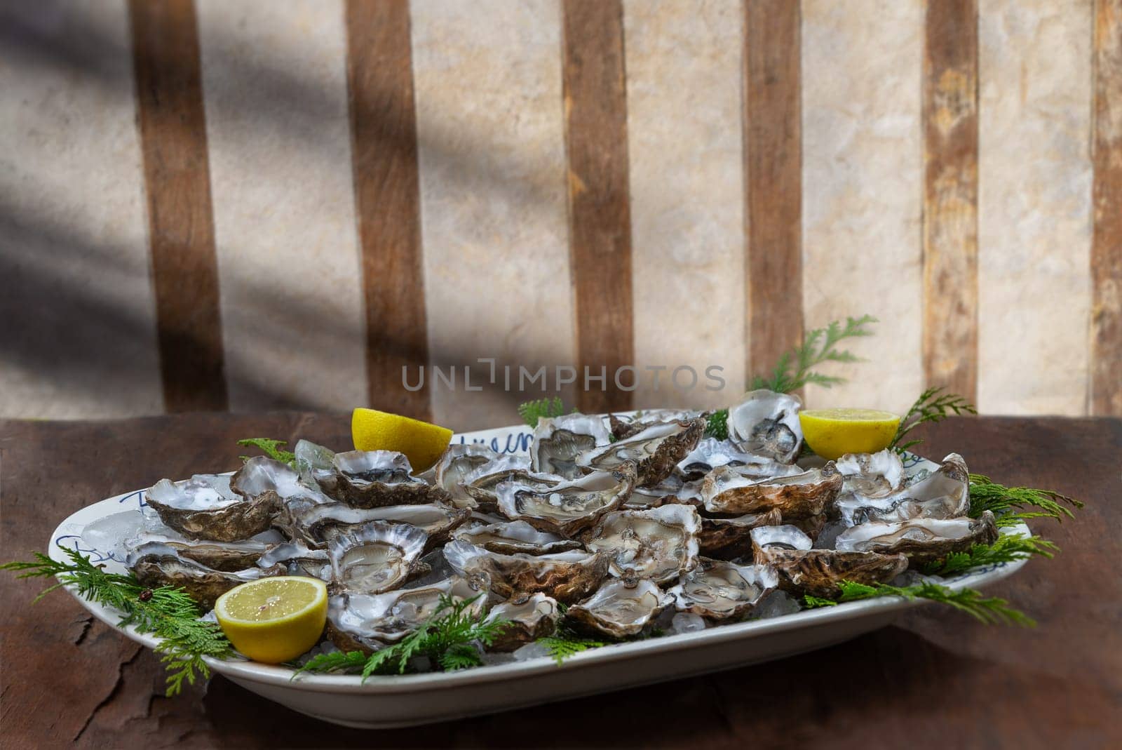 Fresh Oysters close-up on blue plate, served table with lemon and ice. . Fresh Oyster dinner in restaurant. Gourmet food