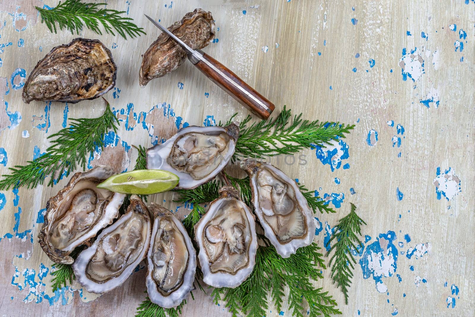 Opened Oysters on blue wooden background with oyster knife and lemon
