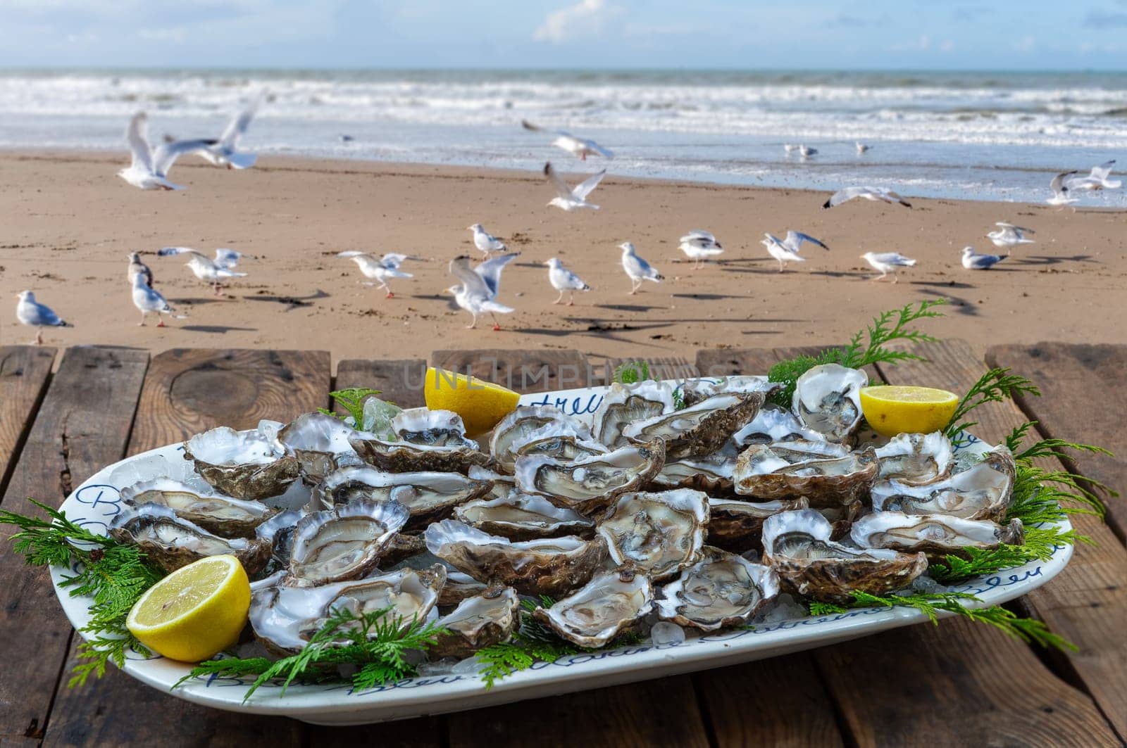 Oysters and white wine in a restaurant with a sea view seagulls on sandy beach, by JPC-PROD
