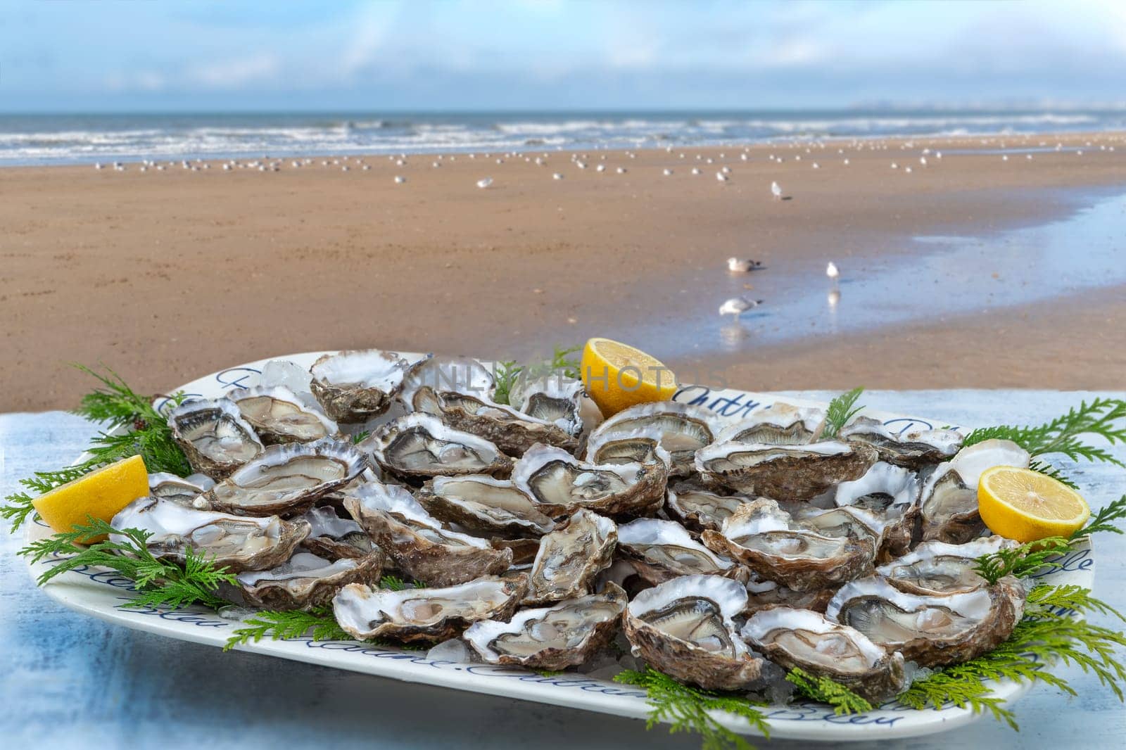 Oysters and white wine in a restaurant with a sea view