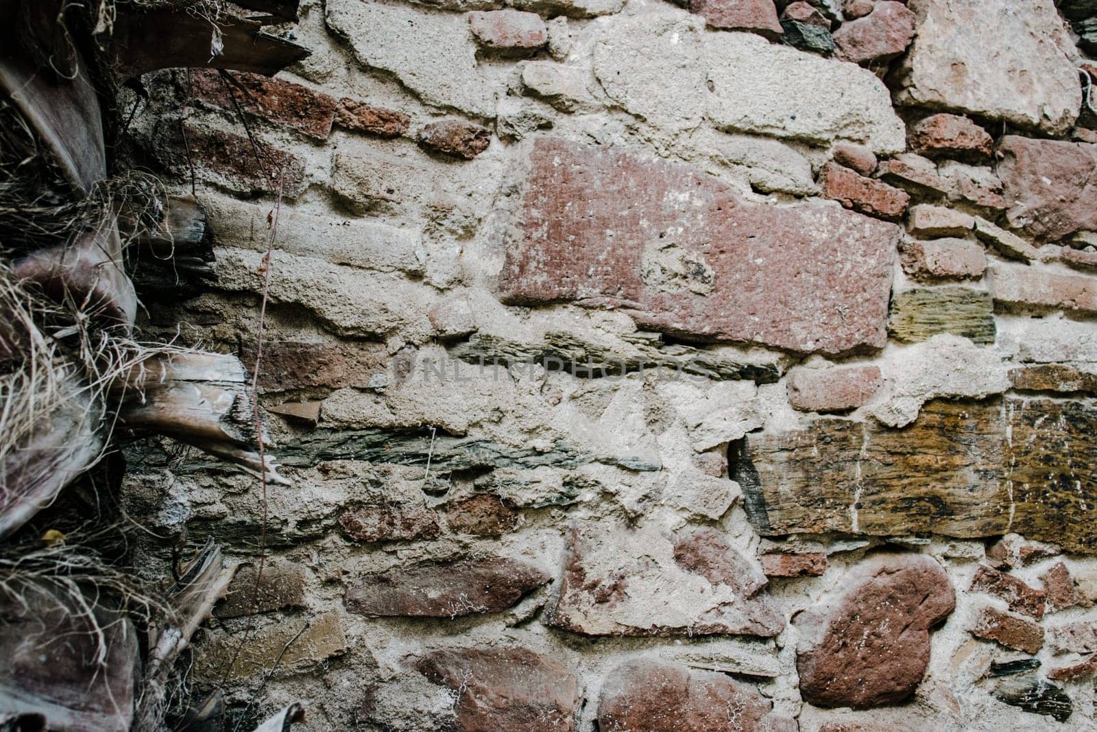 Close up old brick texture lichen wall concept photo. Palm tree trunk of the wall background photo. by _Nataly_Nati_