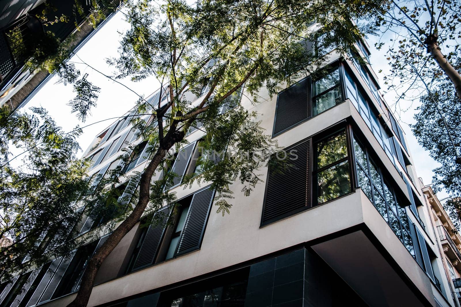 Modern apartment building with big windows, Barcelona. Green tree branches with leaves for reducing heat. Go green concept. High quality picture for wallpaper, article