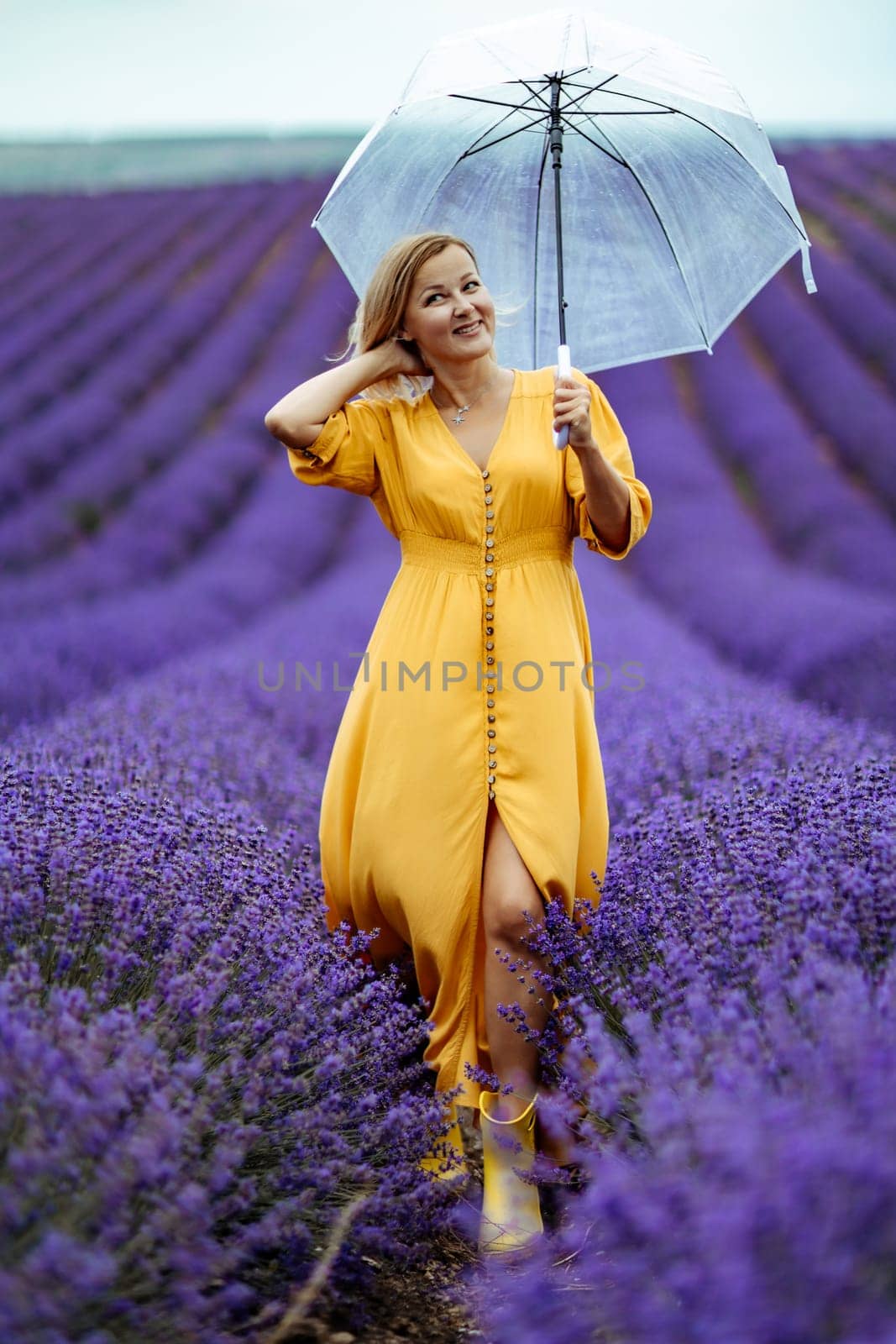 A middle-aged woman in a lavender field walks under an umbrella on a rainy day and enjoys aromatherapy. Aromatherapy concept, lavender oil, photo session in lavender.